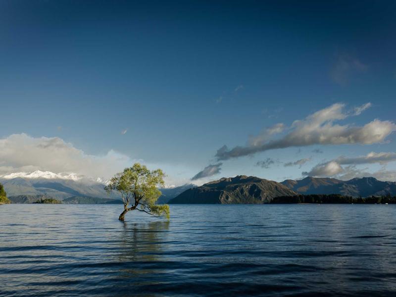 海上明月<br>qyo4zwyv.cn 天涯共此时节